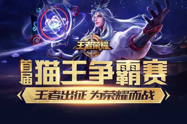 合理方案是